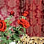 Riad ABBASSIA Marrakech - Authentic Medina Experience