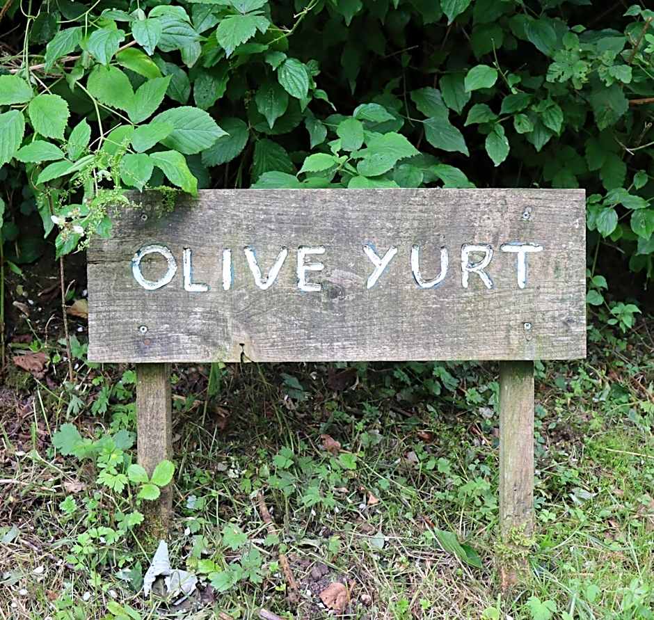 South Downs Eco Lodge & Camping