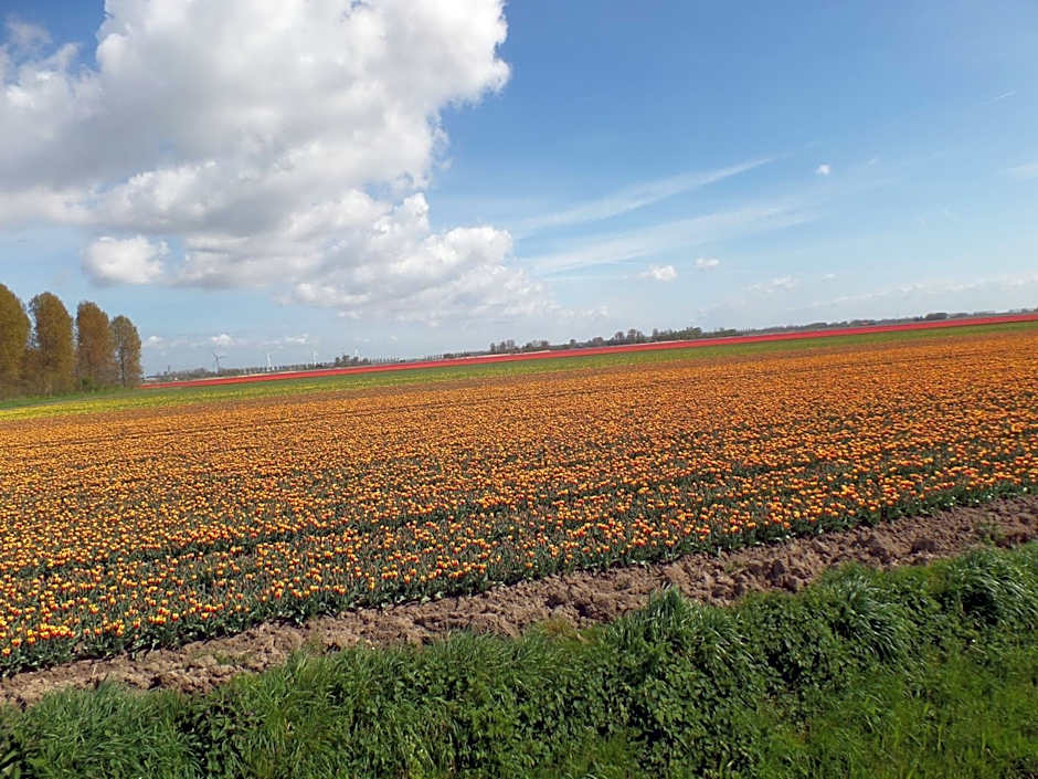 Bed en Breakfast en Bike