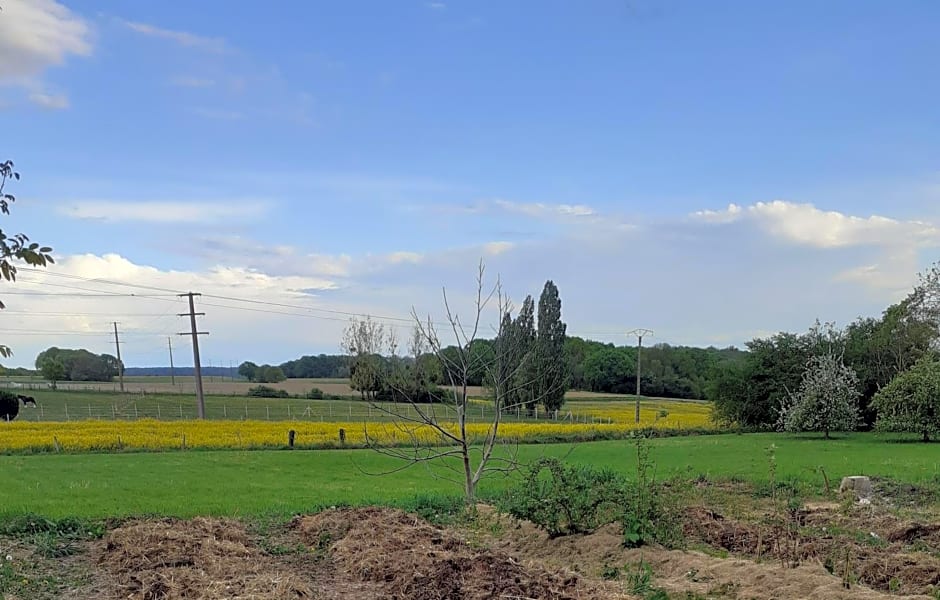 Eclosion de lumière