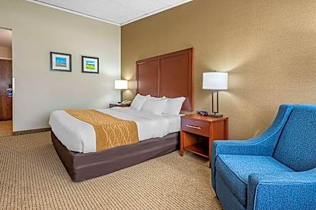 1 King Bed, Nonsmoking, Accessible