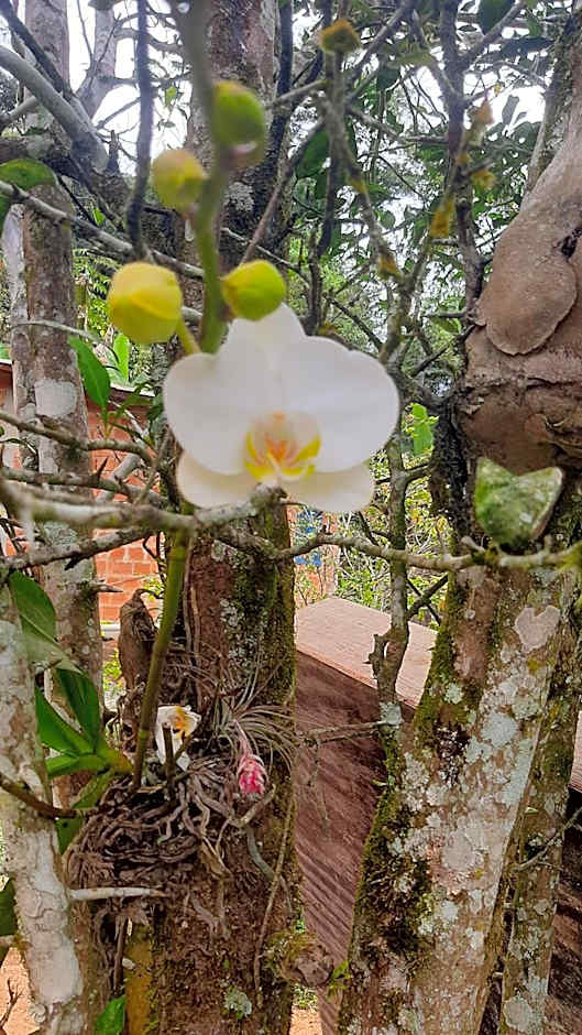 Rancho Esperança, pouso e comida a lenha