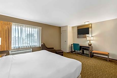 Standard Room, 1 King Bed, Non Smoking