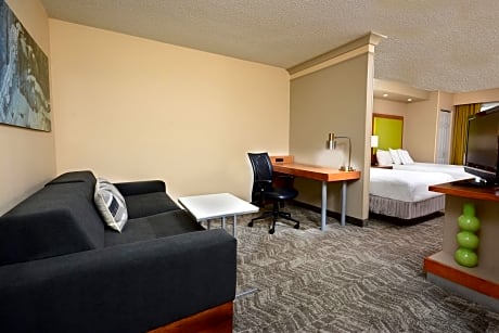Studio, Multiple Beds (2 Queen Beds and 1 Double Sofa Bed)