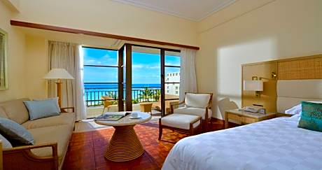 Deluxe Elegant Ocean Front