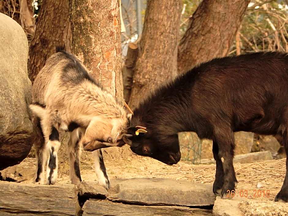 Hôtel Eco Logis Espace Bellevue