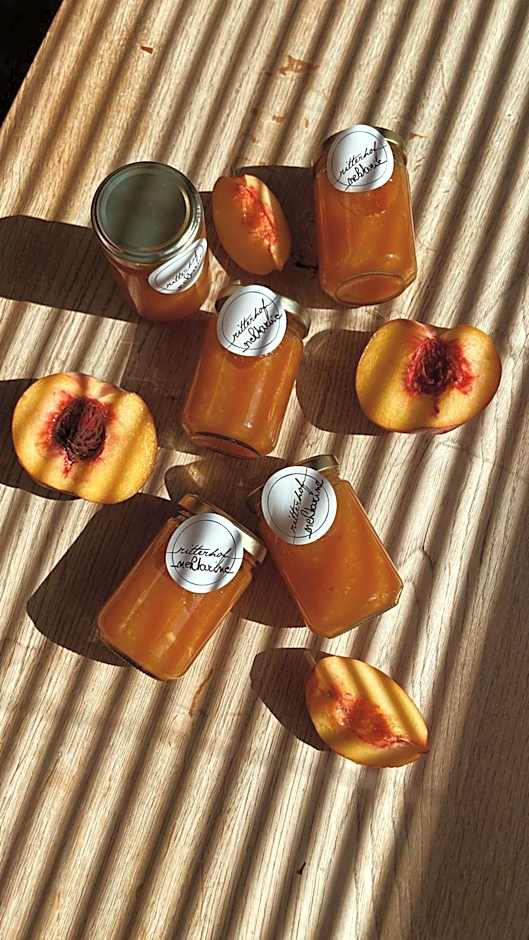 Apartmenthotel Ritterhof Suites & Breakfast