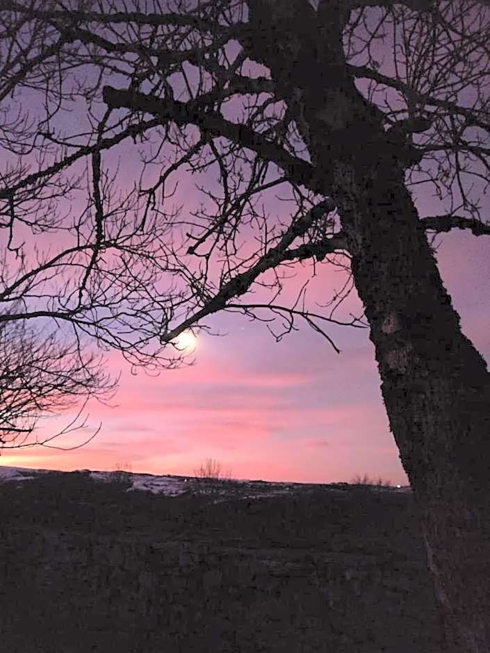 Maison d'Hôtes La Grange
