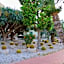 Casthotels Punta del Sole Terme