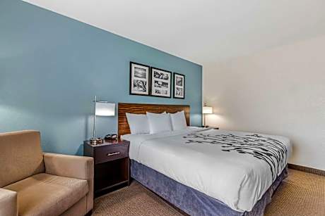 King Room - Non-Smoking