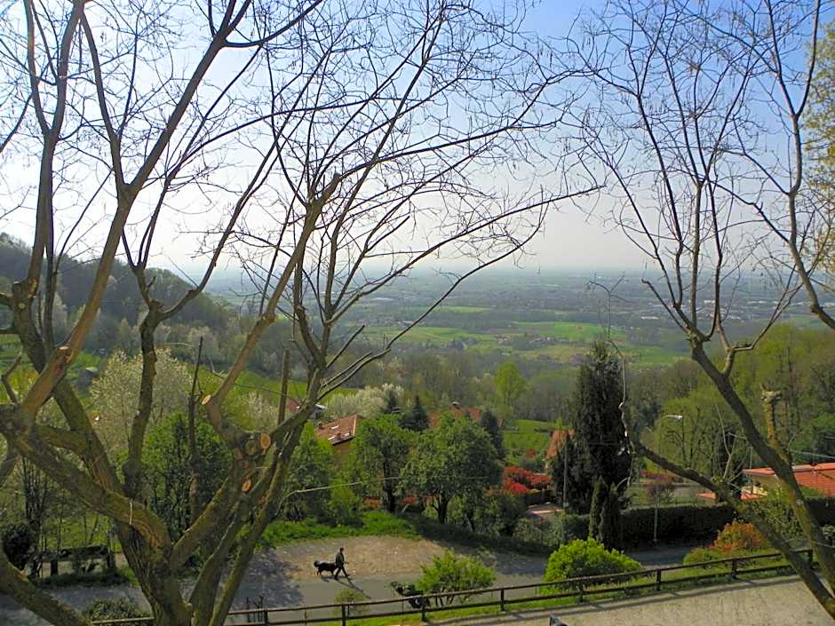 Al-Colle
