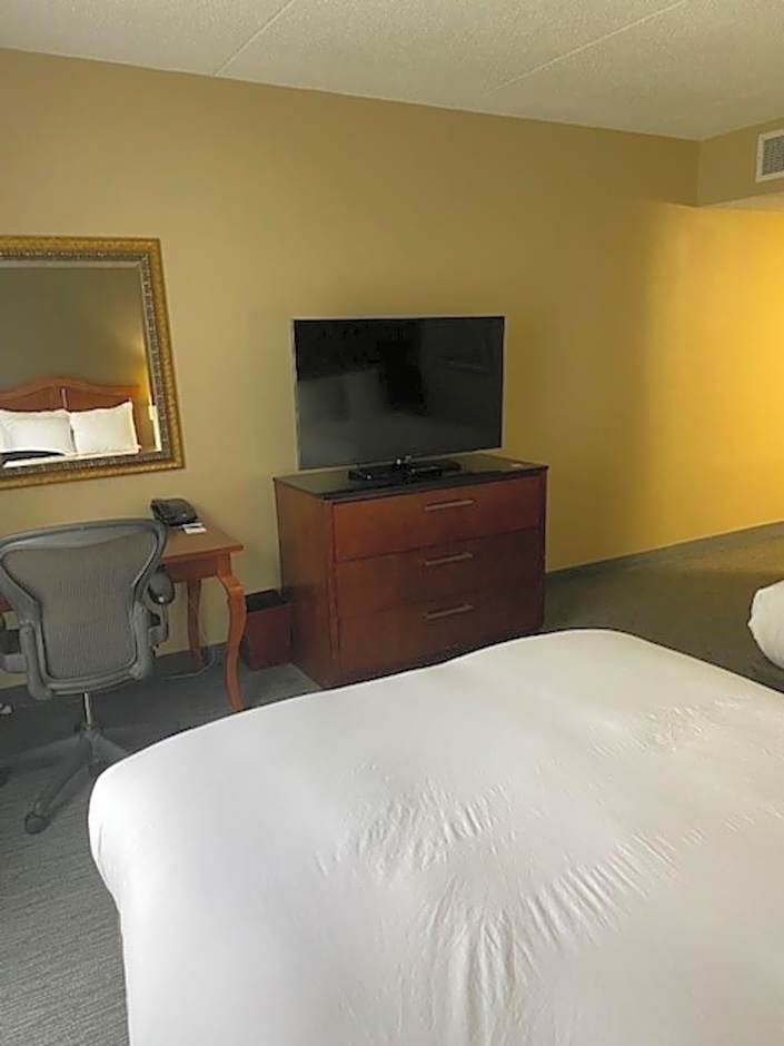 DoubleTree by Hilton Hotel Detroit - Novi