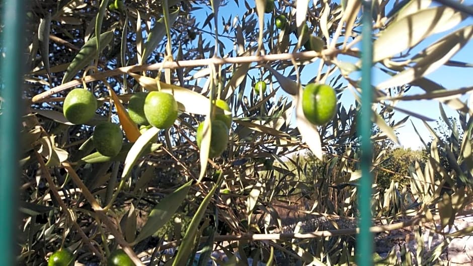 Le querce di mamre