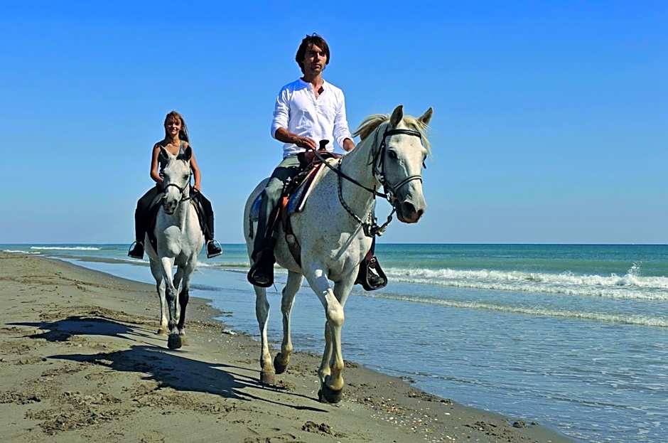 Hotel Sonneninsel Fehmarn