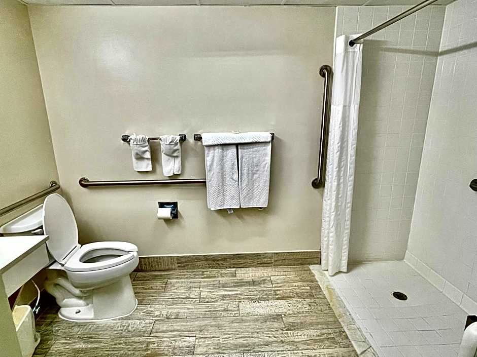 Quality Inn & Suites Clemmons I-40