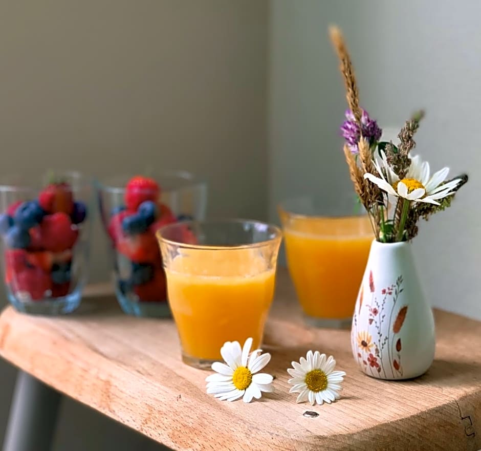 Vakantiehuis Bed en Breakfast in de Tuin