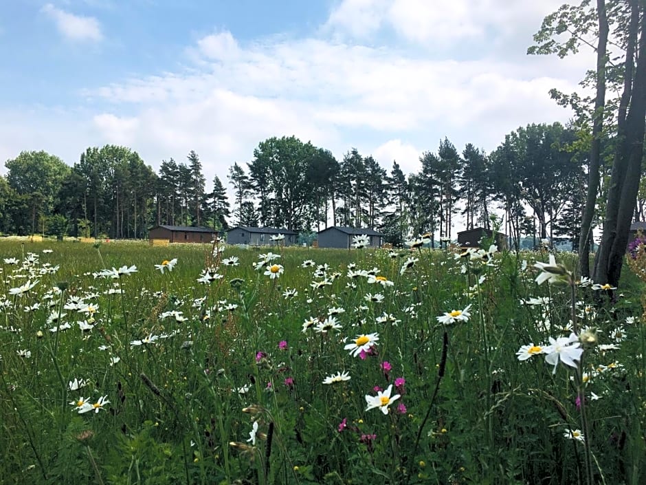 Hollicarrs - Woodland Lodge