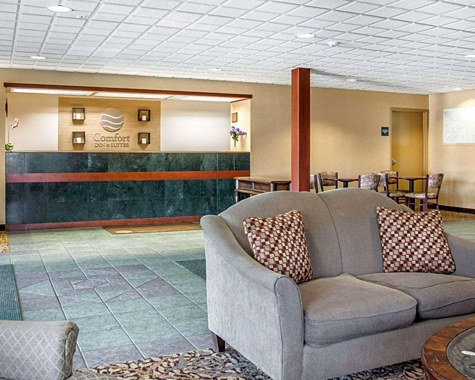 Comfort Inn & Suites Maumee - Toledo - I80-90