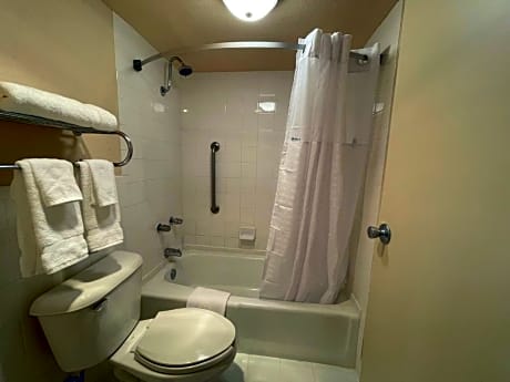 1 King Bed Non-Smoking