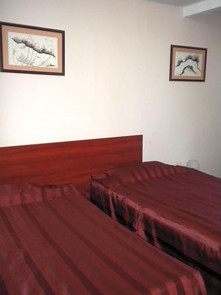 Hotel Ary