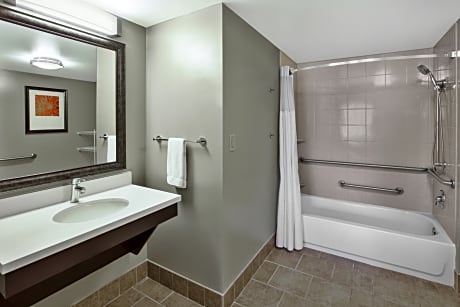 1 Bedroom Suite Communications Mobility Access Tub