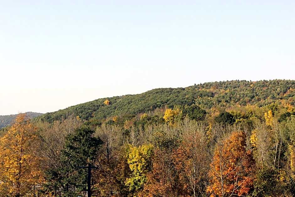 Berkshire Travel Lodge