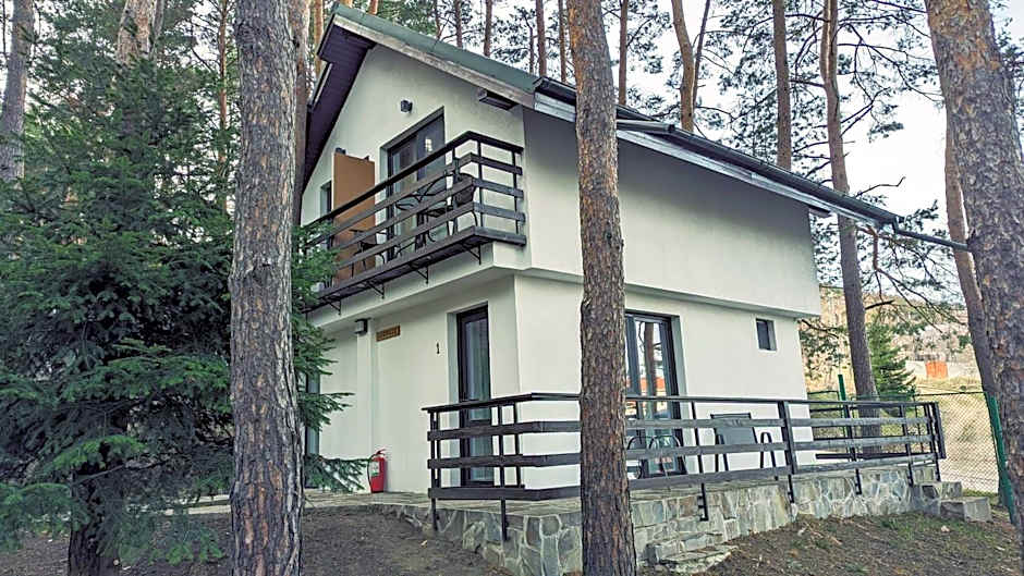 Complex Parc Pini Moinesti