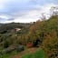 Gli Aceri B&B