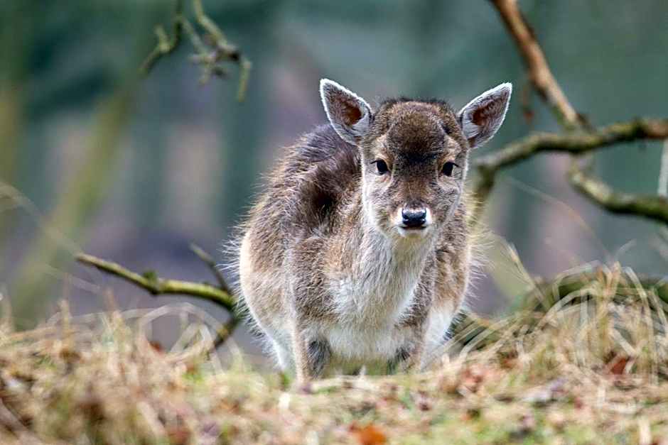 Duin-Vliet - Free parking