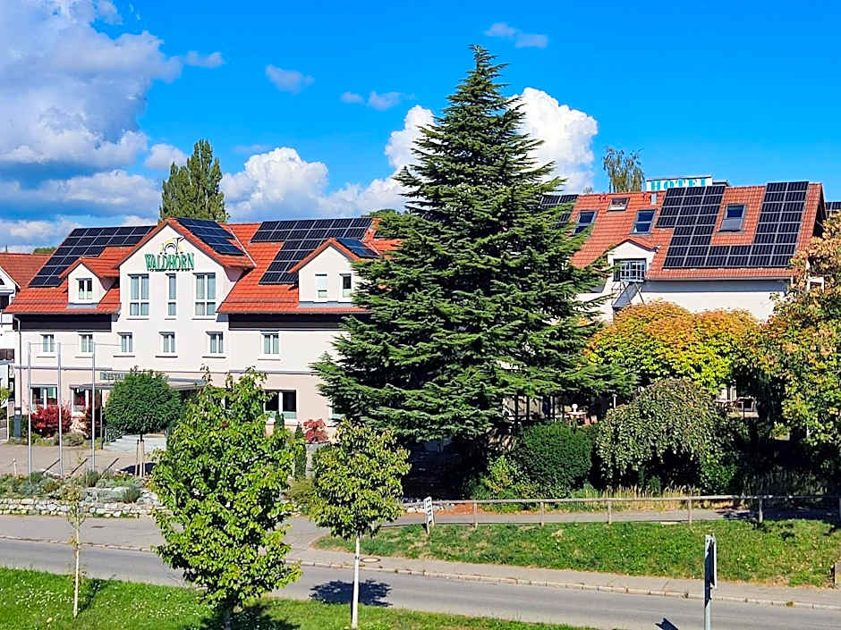 Hotel Waldhorn