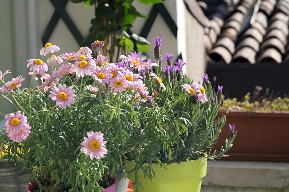 In the heart of Verona