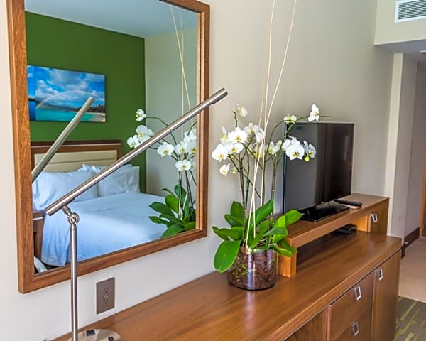 Hampton Inn By Hilton Santo Domingo Airport