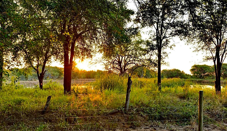 Black Rhino Game Lodge