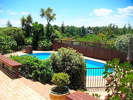 Queen Room with Pool View