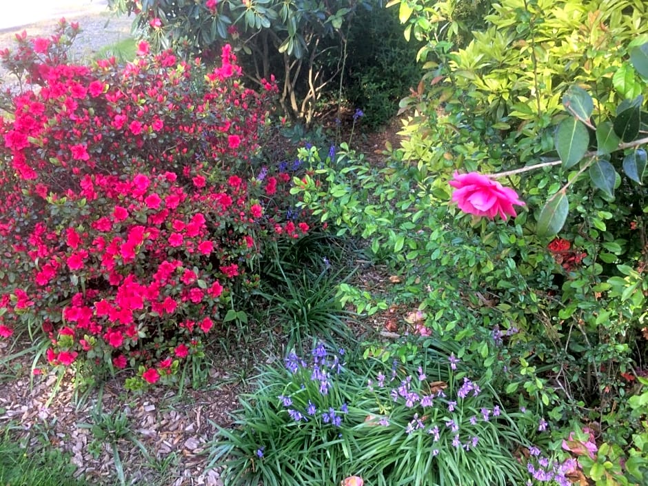 La Chambre Montbrault