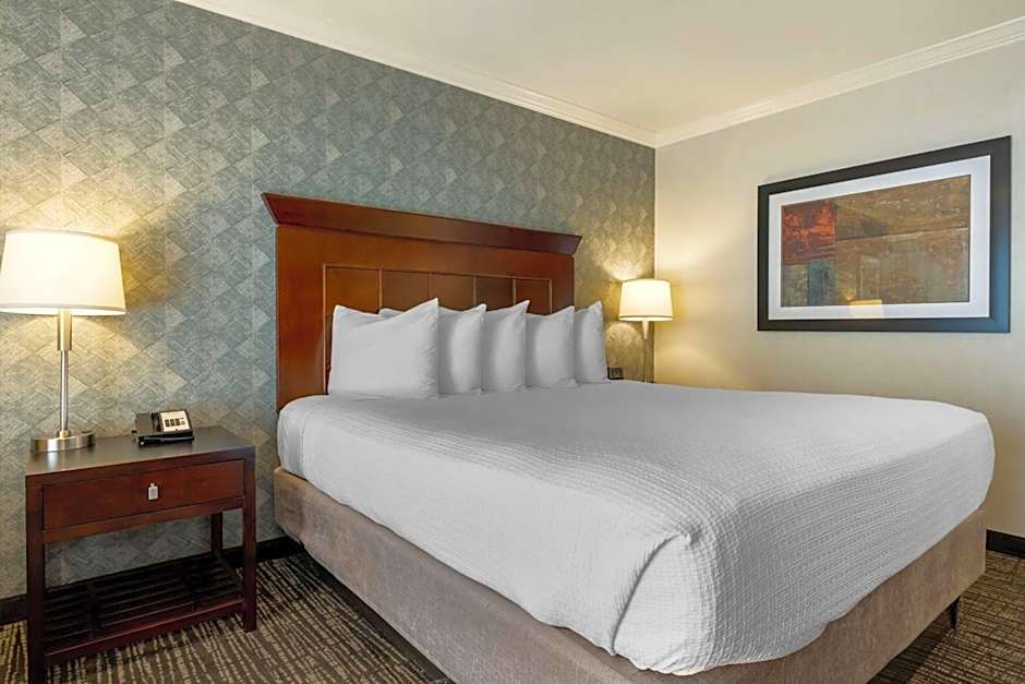Best Western Plus Carriage Inn