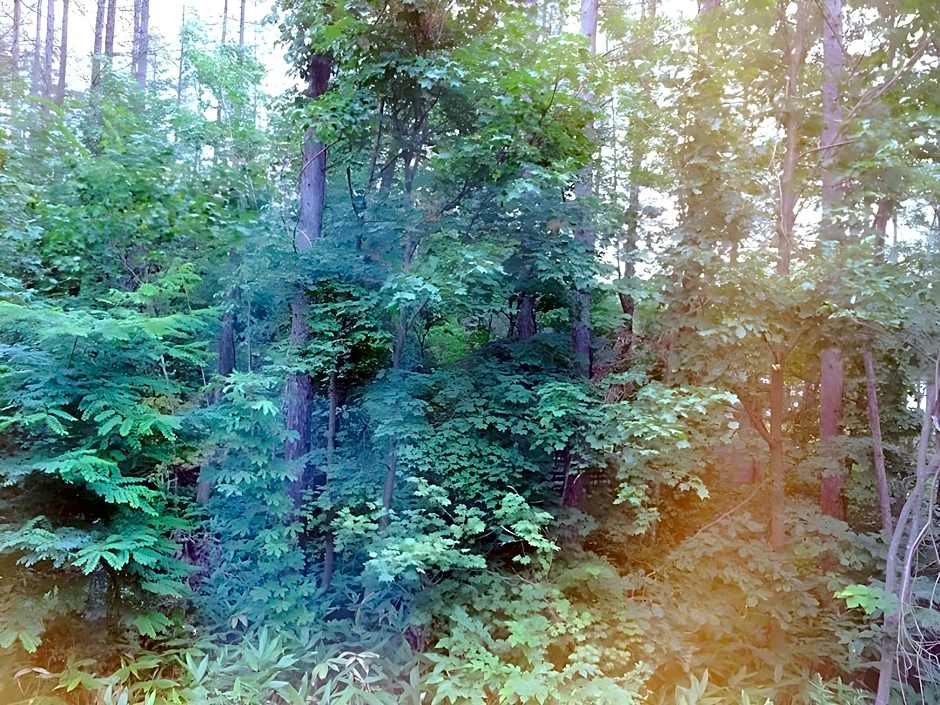 Pension Itsuka Furano e