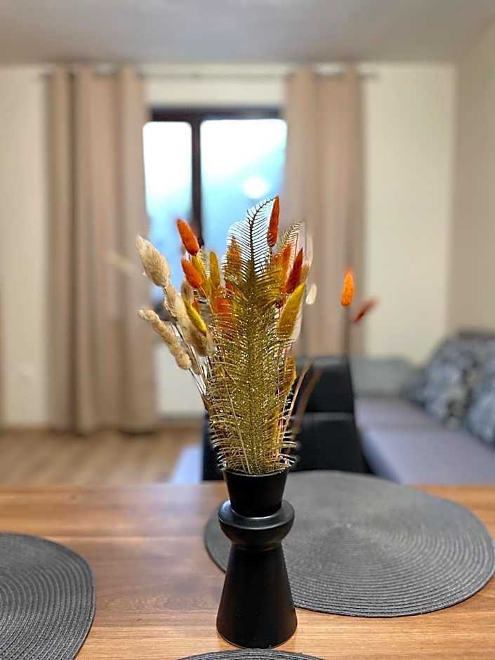 Apartment E23 Borovets Gardens