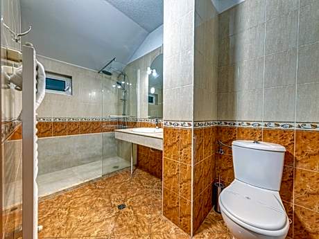 Suite with Terrace