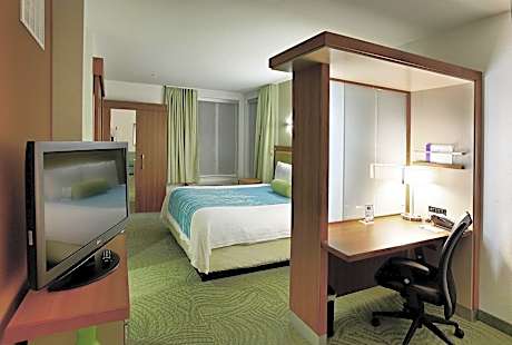 Suite, 1 King Bed with Sofa bed (Mobility Accessible, Tub) (1 King Bed and 1 Double Sofa Bed)