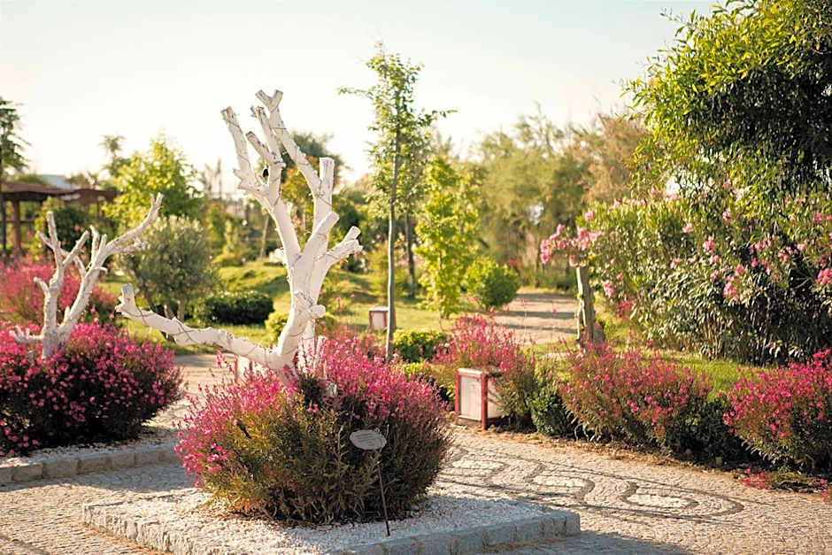 Flora Garden Beach Hotel - Adults Only 16 Plus - Couples Concept