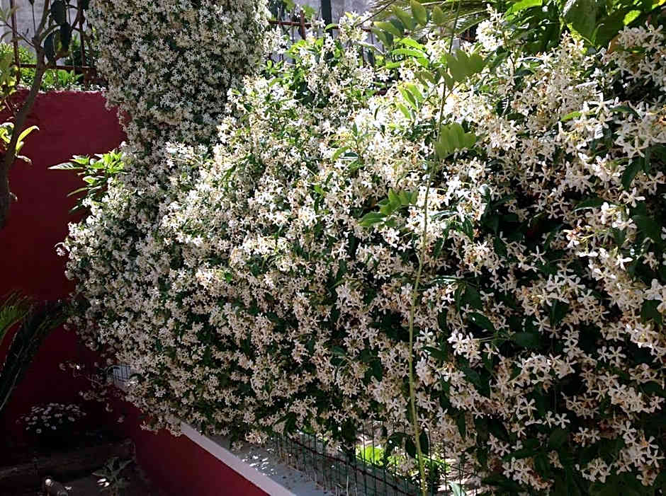 Dimora Benedetta 2 0