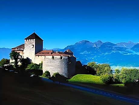 Hotel Schatzmann