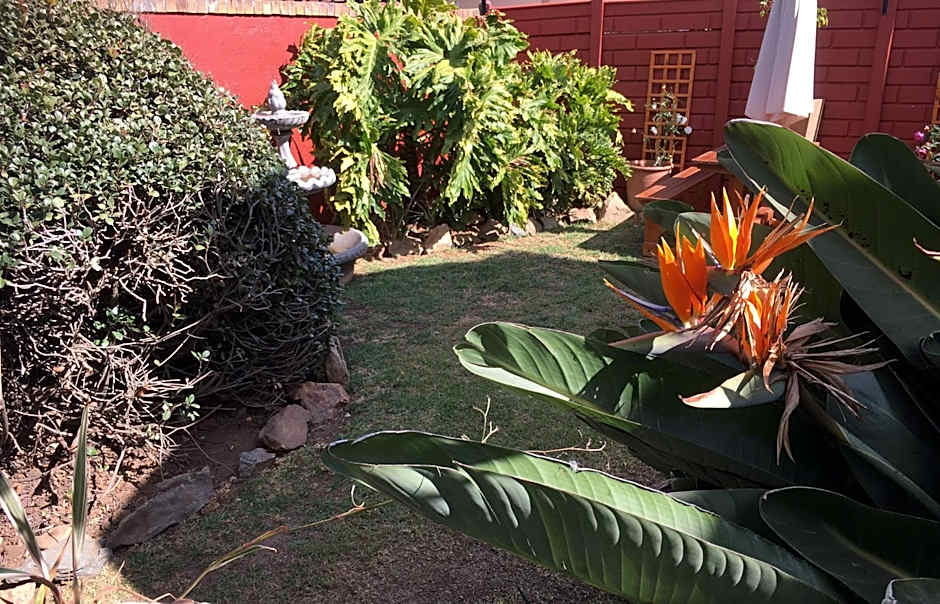 House on Morninghill