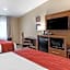 Comfort Inn Albany/Glenmont
