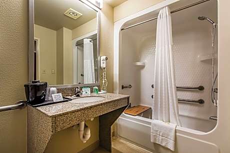 1 King Bed, Nonsmoking, Accessible