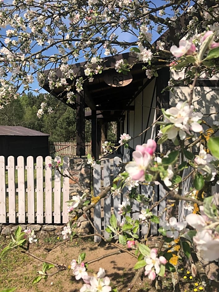 Samodzielny Dom Przy Lesie