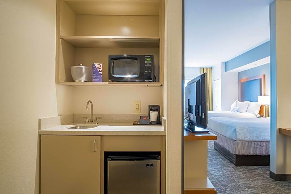 SpringHill Suites by Marriott Winston-Salem Hanes Mall