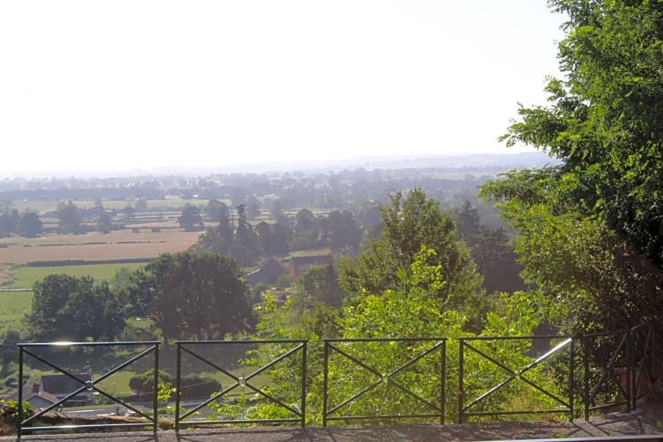 COMME UN COQ EN PÂTE