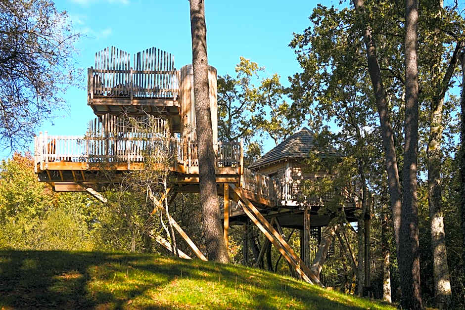 cabanes perchees dans les arbres